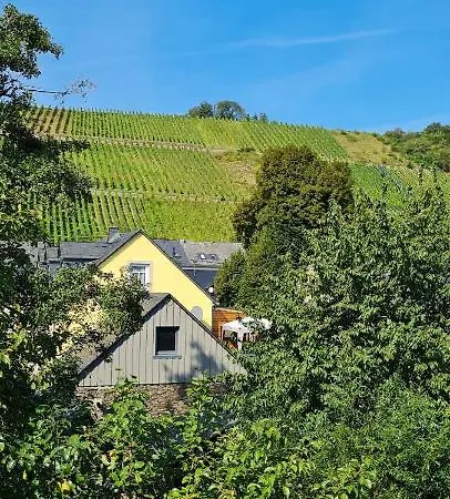 Am Alten Winzerhof Apartment