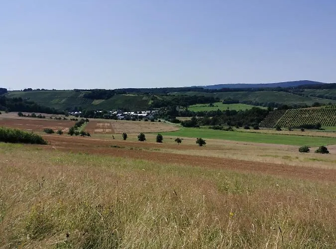 דירה Am Alten Winzerhof *