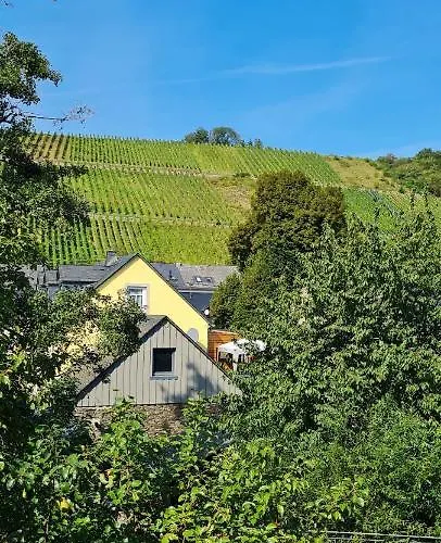 Am Alten Winzerhof דירה